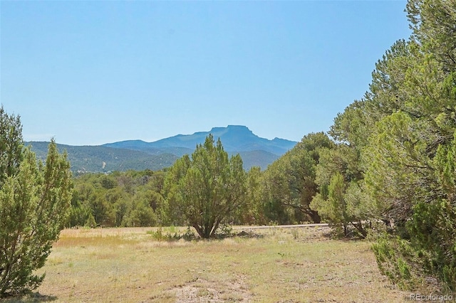 view of mountain feature featuring a rural view