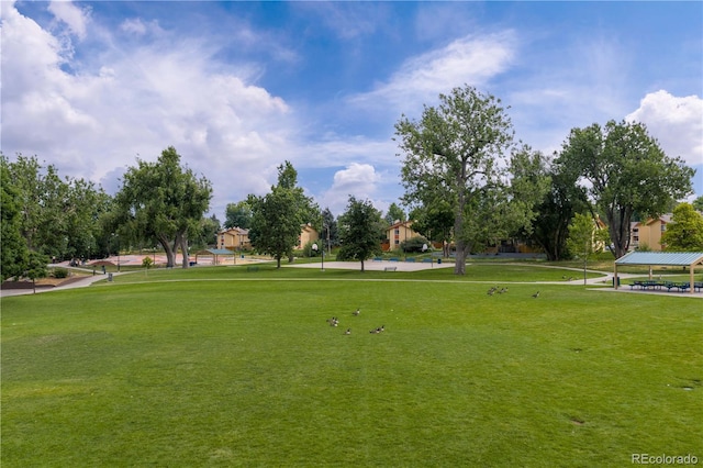11807 Sherman St, Northglenn, CO 80233 - photo 33