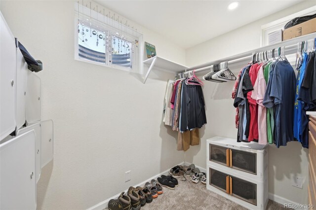 11360 Irma Dr, Northglenn, CO 80233 - view of walk in closet