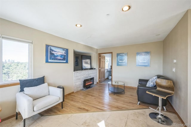 living room with a stone fireplace and hardwood / wood-style flooring