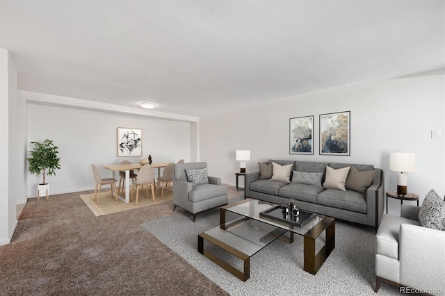 1029 E 8th Ave Unit 603, Denver, CO 80218 - living room with carpet floors
