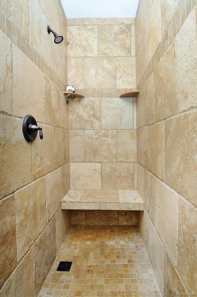 30220 Columbia Pt, Buena Vista, CO 81211 - bathroom view of tiled shower
