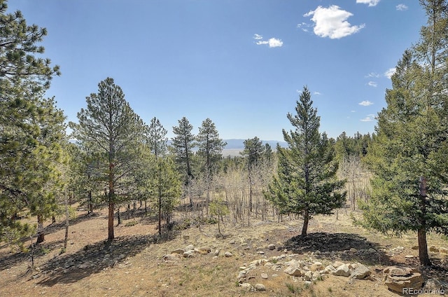 30220 Columbia Pt, Buena Vista, CO 81211 - view of nature