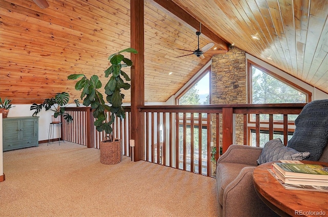 30220 Columbia Pt, Buena Vista, CO 81211 - photo 24