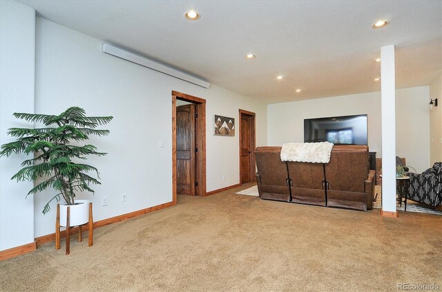 30220 Columbia Pt, Buena Vista, CO 81211 - photo 28