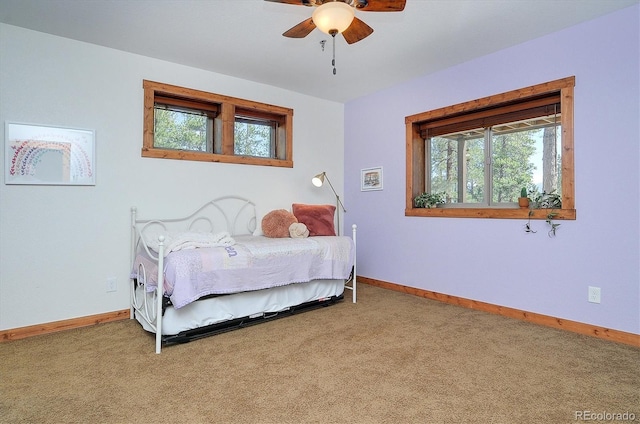 30220 Columbia Pt, Buena Vista, CO 81211 - photo 33