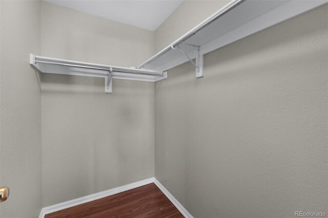 3456 Osprey Ridge Dr, Colorado Springs, CO 80916 - walk in closet with wood finished floors