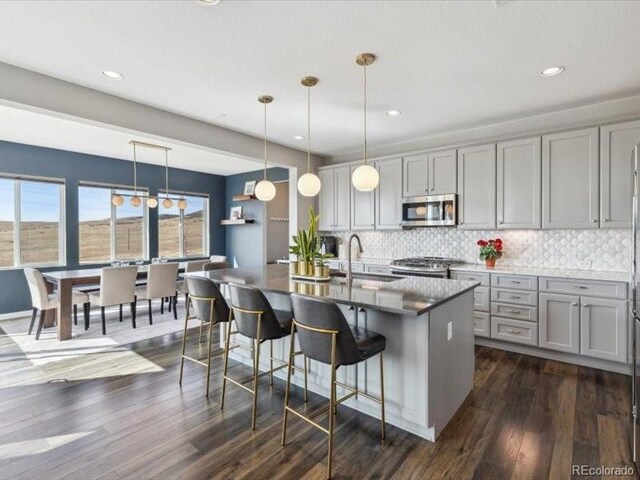 11426 Box Turtle Ct, Parker, CO 80134 - kitchen featuring stainless steel appliances, gray cabinets, a sink, dark wood-type flooring, and a kitchen bar