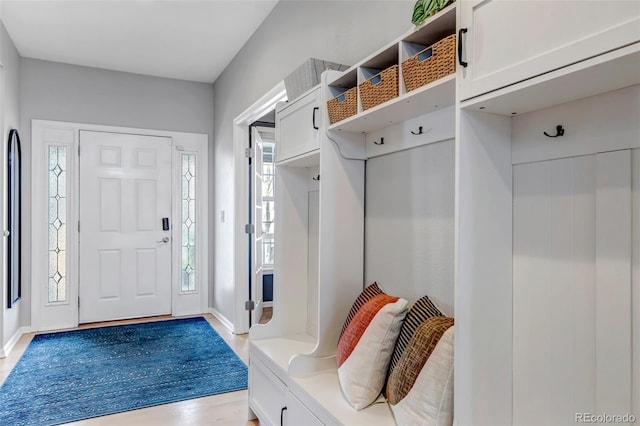 mudroom with baseboards and a healthy amount of sunlight