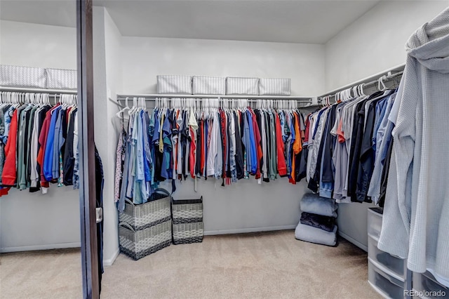 walk in closet with carpet floors