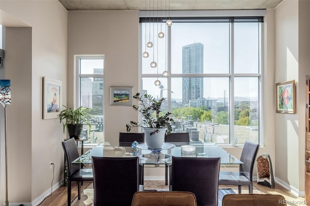 1700 Bassett St Unit 513, Denver, CO 80202 - dining room with wood finished floors, healthy amount of natural light, baseboards, and a city view