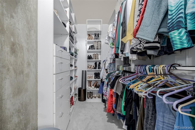 1700 Bassett St Unit 513, Denver, CO 80202 - spacious closet featuring carpet floors