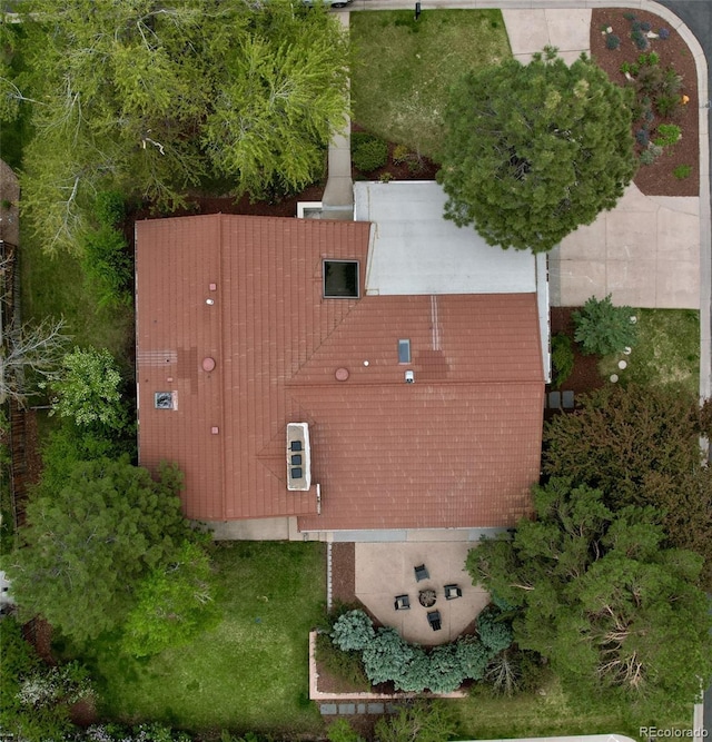 bird's eye view