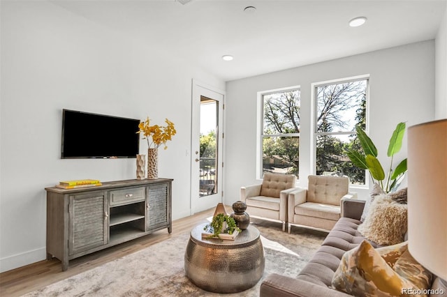 living room featuring light hardwood / wood-style flooring