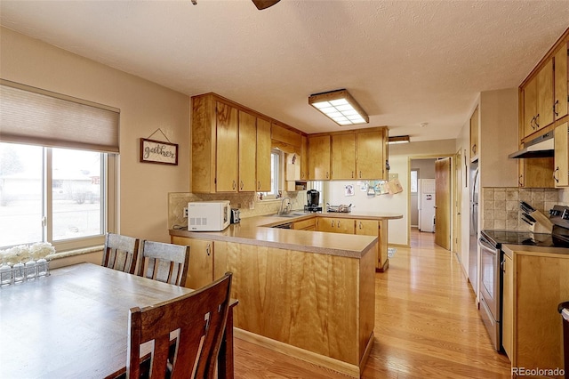 kitchen featuring stainless steel appliances, backsplash, light wood-style flooring, a sink, and a peninsula