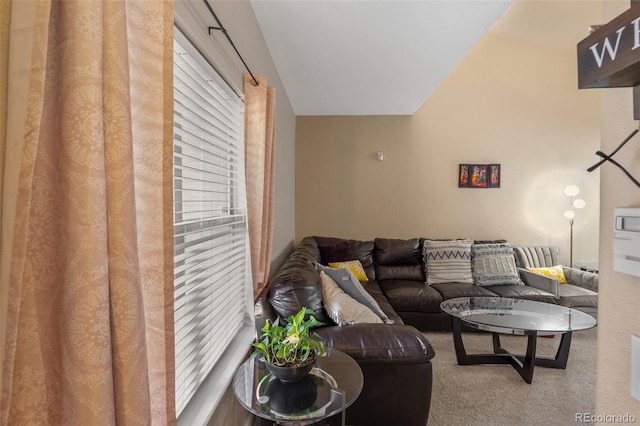 5800 Tower Rd Unit 610, Denver, CO 80249 - view of carpeted living room