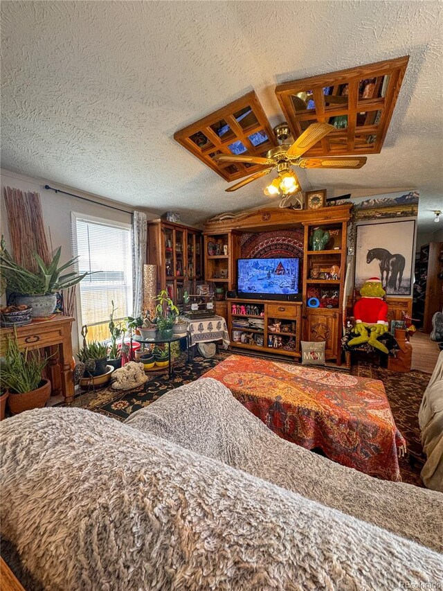 312 Ceratosaurus Cir, Dinosaur, CO 81610 - living area featuring a textured ceiling and a ceiling fan