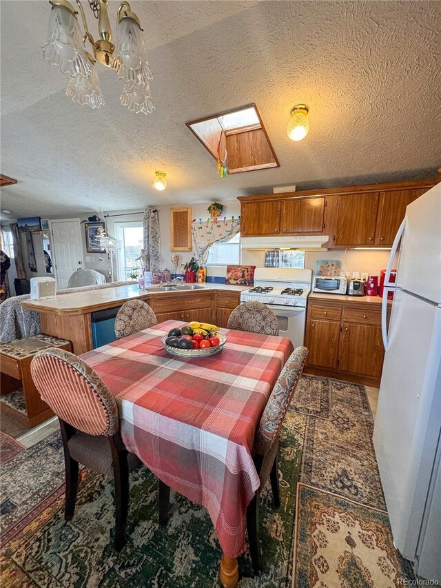 312 Ceratosaurus Cir, Dinosaur, CO 81610 - dining space featuring a textured ceiling and a skylight