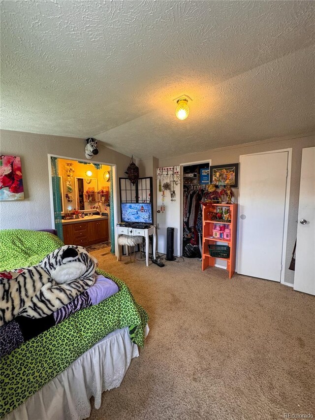 312 Ceratosaurus Cir, Dinosaur, CO 81610 - carpeted bedroom featuring a closet, a textured ceiling, ensuite bath, and vaulted ceiling