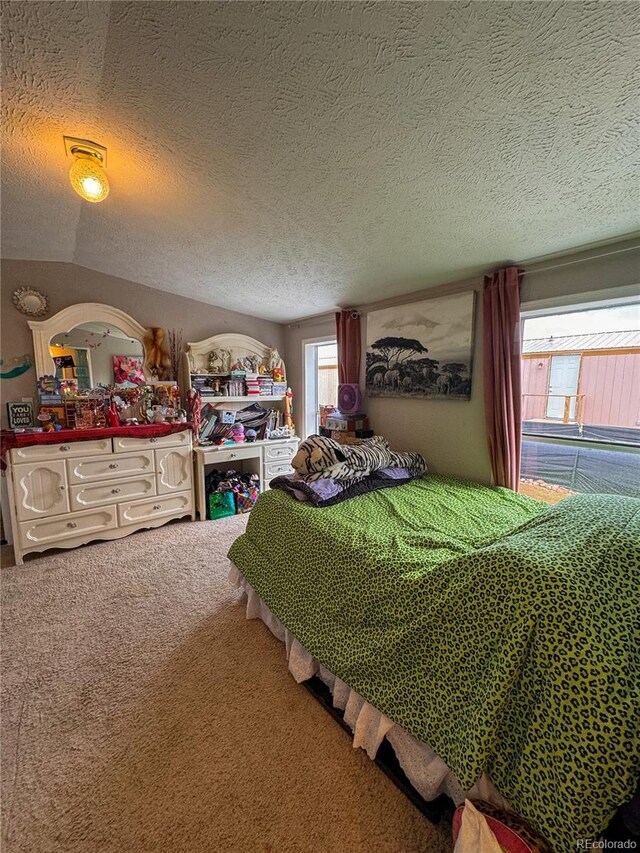 312 Ceratosaurus Cir, Dinosaur, CO 81610 - bedroom featuring carpet floors and a textured ceiling