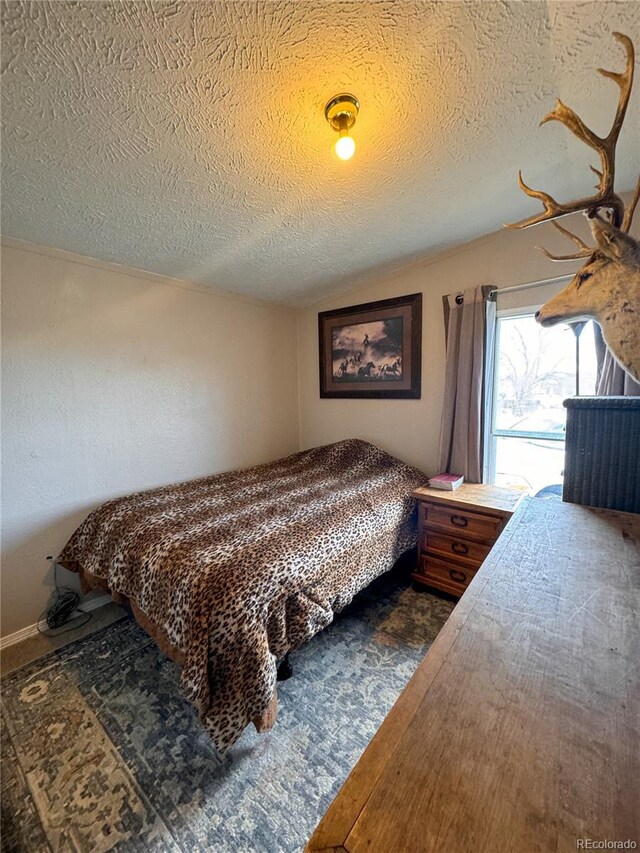 312 Ceratosaurus Cir, Dinosaur, CO 81610 - bedroom featuring lofted ceiling and a textured ceiling