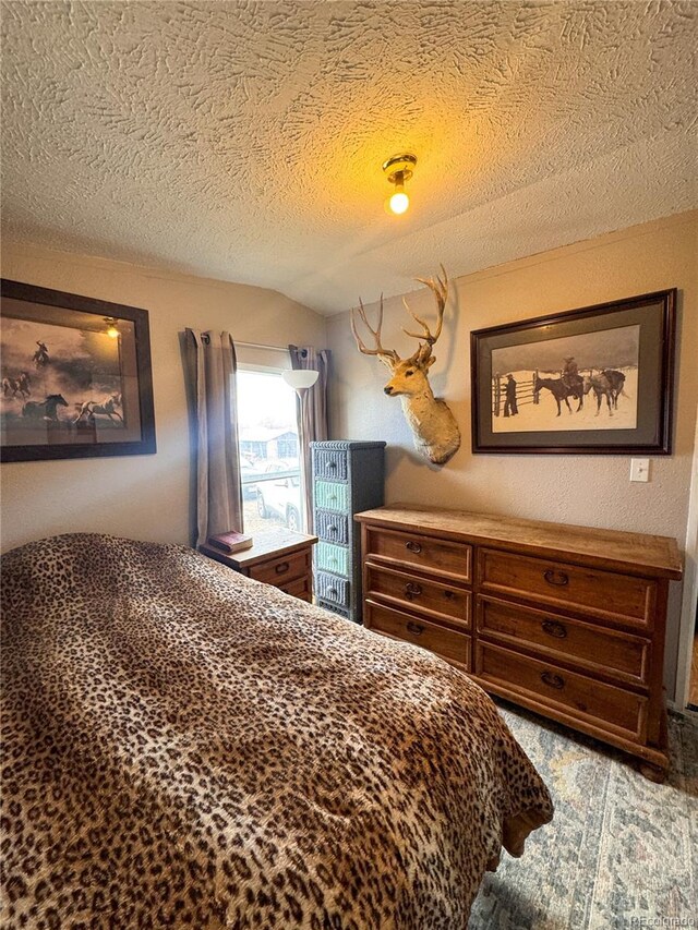 312 Ceratosaurus Cir, Dinosaur, CO 81610 - bedroom with a textured ceiling and vaulted ceiling