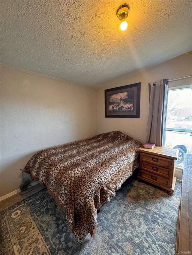 312 Ceratosaurus Cir, Dinosaur, CO 81610 - carpeted bedroom with lofted ceiling and a textured ceiling