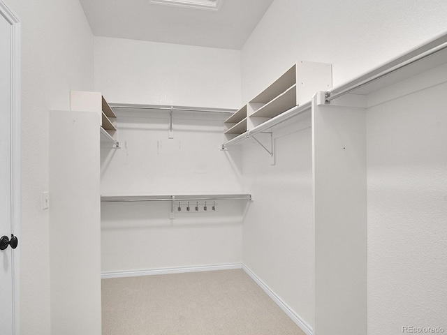 walk in closet featuring carpet flooring