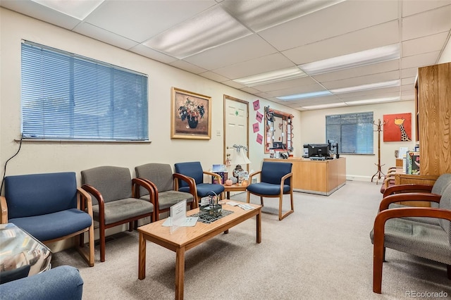 carpeted living room with a paneled ceiling