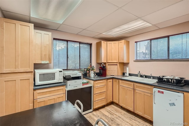 kitchen featuring sink, white appliances, a drop ceiling, a healthy amount of sunlight, and light brown cabinetry