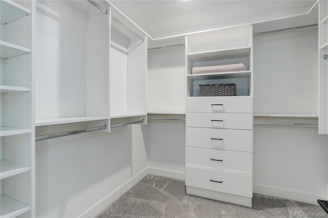 431 Courtfield Way, Castle Pines, CO 80108 - walk in closet featuring light carpet