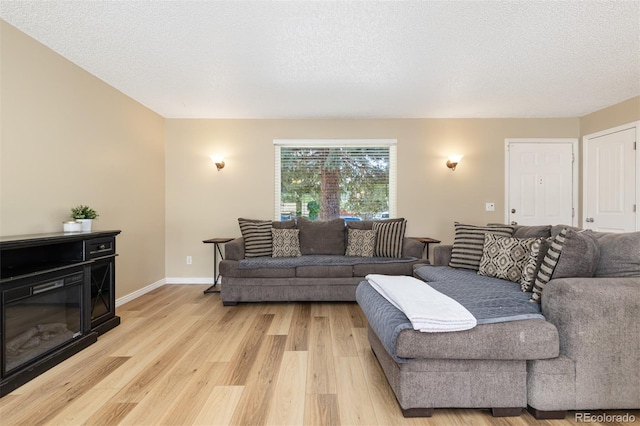 1246 S Telluride St, Aurora, CO 80017 - living room with light wood-style flooring and a textured ceiling