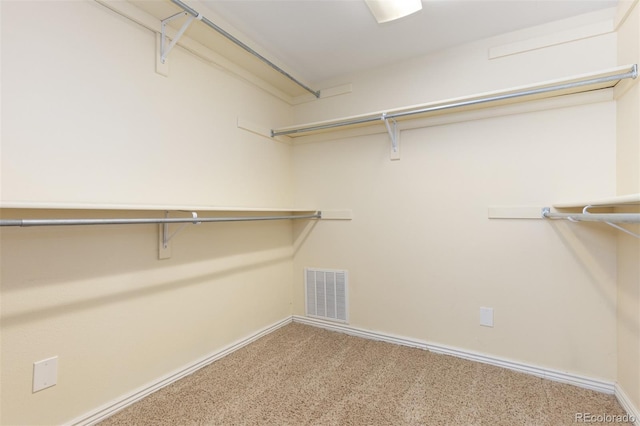 1246 S Telluride St, Aurora, CO 80017 - walk in closet with carpet flooring