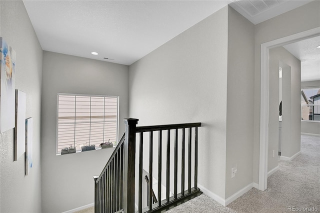 stairway with a textured ceiling and carpet floors