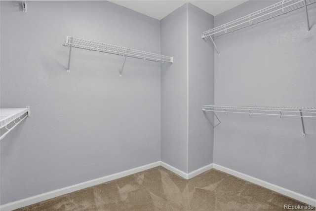 21036 E Jefferson Cir, Aurora, CO 80013 - photo 26