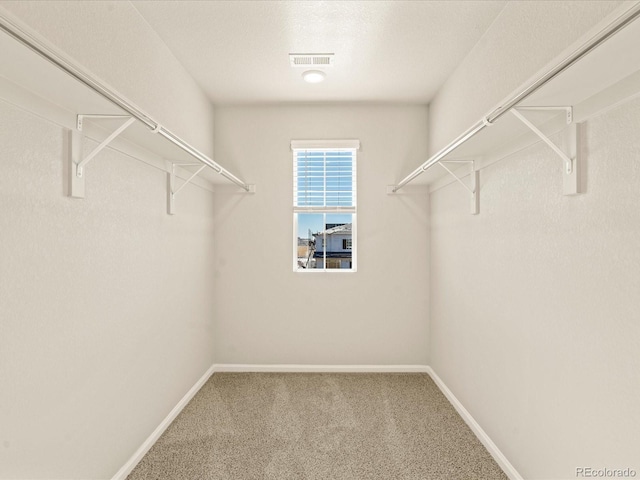 spacious closet featuring carpet flooring