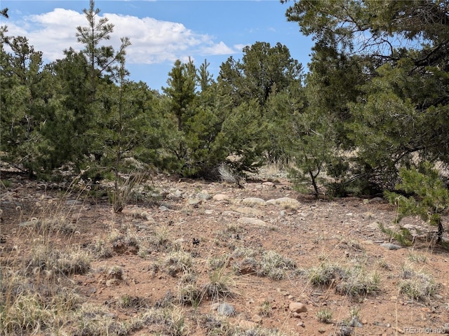 3431 W Graceful Ct, Crestone, CO 81131