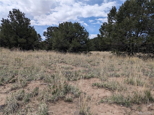 3431 W Graceful Ct, Crestone, CO 81131