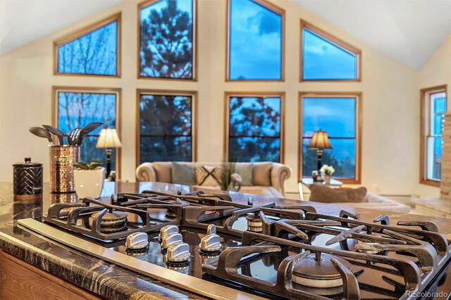 9001 Eastridge Rd, Golden, CO 80403 - kitchen view of black gas stovetop