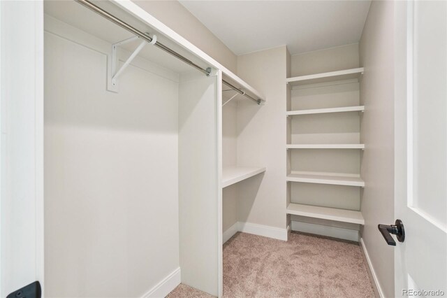 1559 N Hooker St, Denver, CO 80204 - walk in closet with carpet