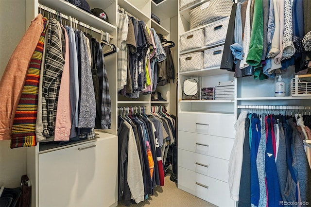 20 Wilcox St Unit 208, Castle Rock, CO 80104 - walk in closet with carpet flooring