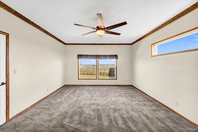3268 N County Road 3, Loveland, CO 80538 - photo 13