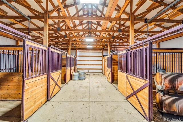 3268 N County Road 3, Loveland, CO 80538 - photo 26