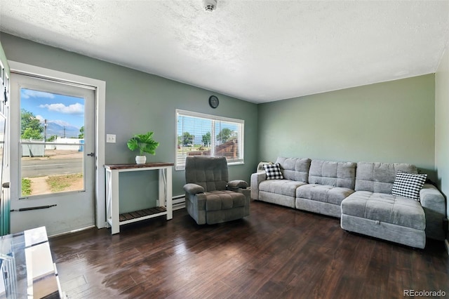 613 S Union Blvd, Colorado Springs, CO 80910 - living room featuring hardwood / wood-style floors and a textured ceiling