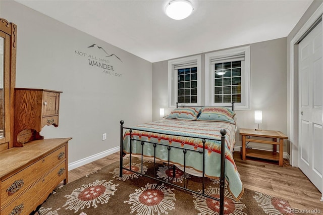 bedroom with hardwood / wood-style floors and a closet