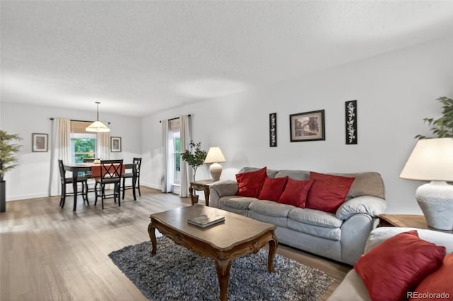 3070 W Enchanted Cir, Colorado Springs, CO 80917 - living room with wood finished floors, a textured ceiling, and baseboards