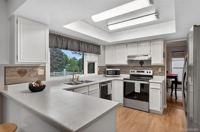 3070 W Enchanted Cir, Colorado Springs, CO 80917 - kitchen featuring stainless steel appliances, under cabinet range hood, a sink, and a tray ceiling