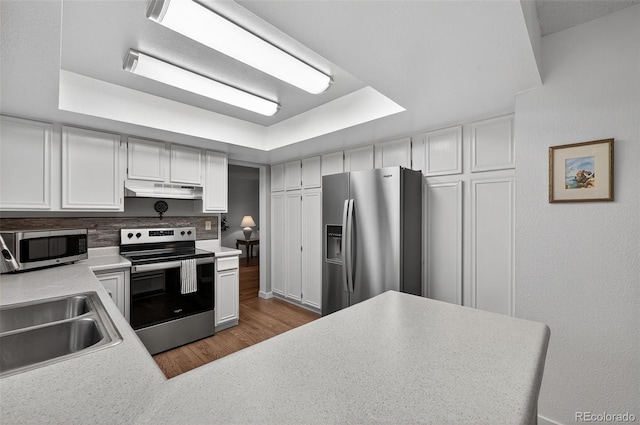 3070 W Enchanted Cir, Colorado Springs, CO 80917 - kitchen featuring appliances with stainless steel finishes, under cabinet range hood, wood finished floors, a sink, and a raised ceiling