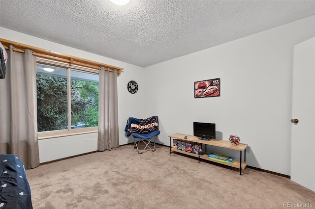 3070 W Enchanted Cir, Colorado Springs, CO 80917 - sitting room featuring carpet flooring, a textured ceiling, and baseboards