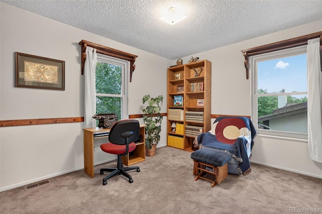 3070 W Enchanted Cir, Colorado Springs, CO 80917 - carpeted office space with a textured ceiling and baseboards